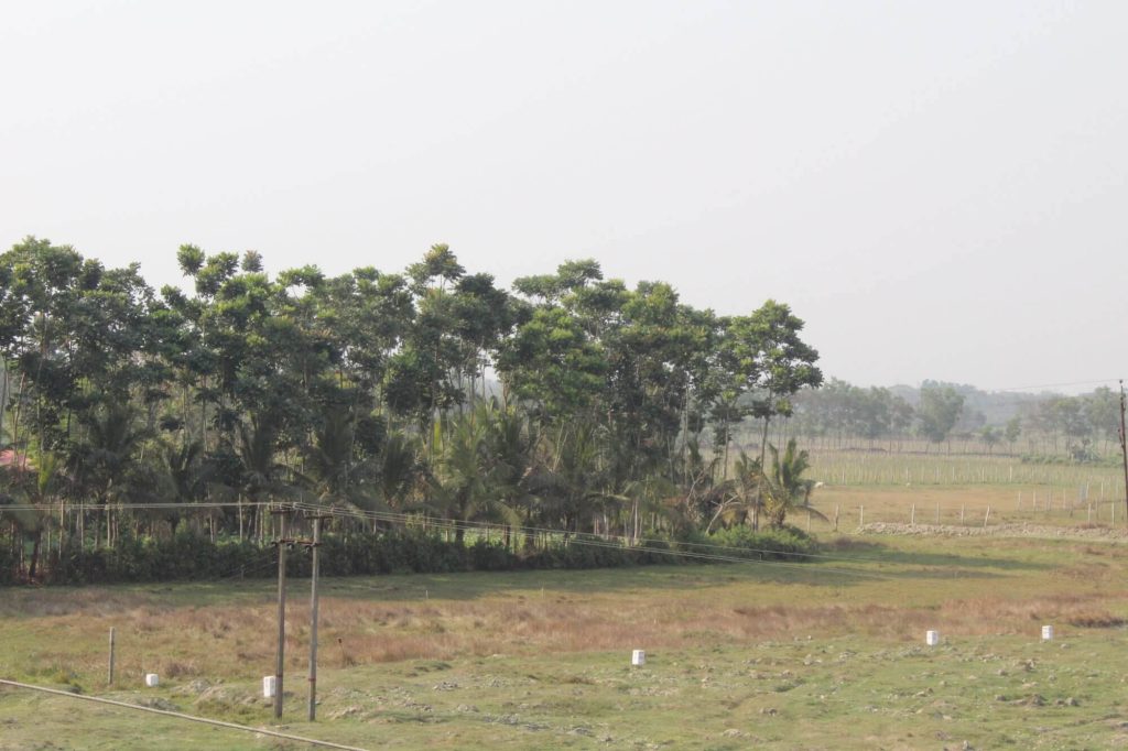 Life At EMA — Image 11
